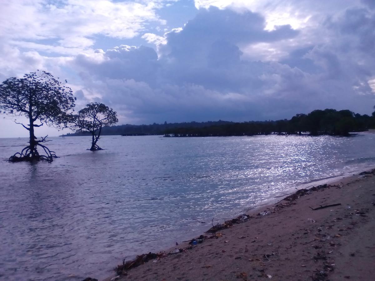 Coconhuts Beach Resort Lakshmanpur Exterior photo